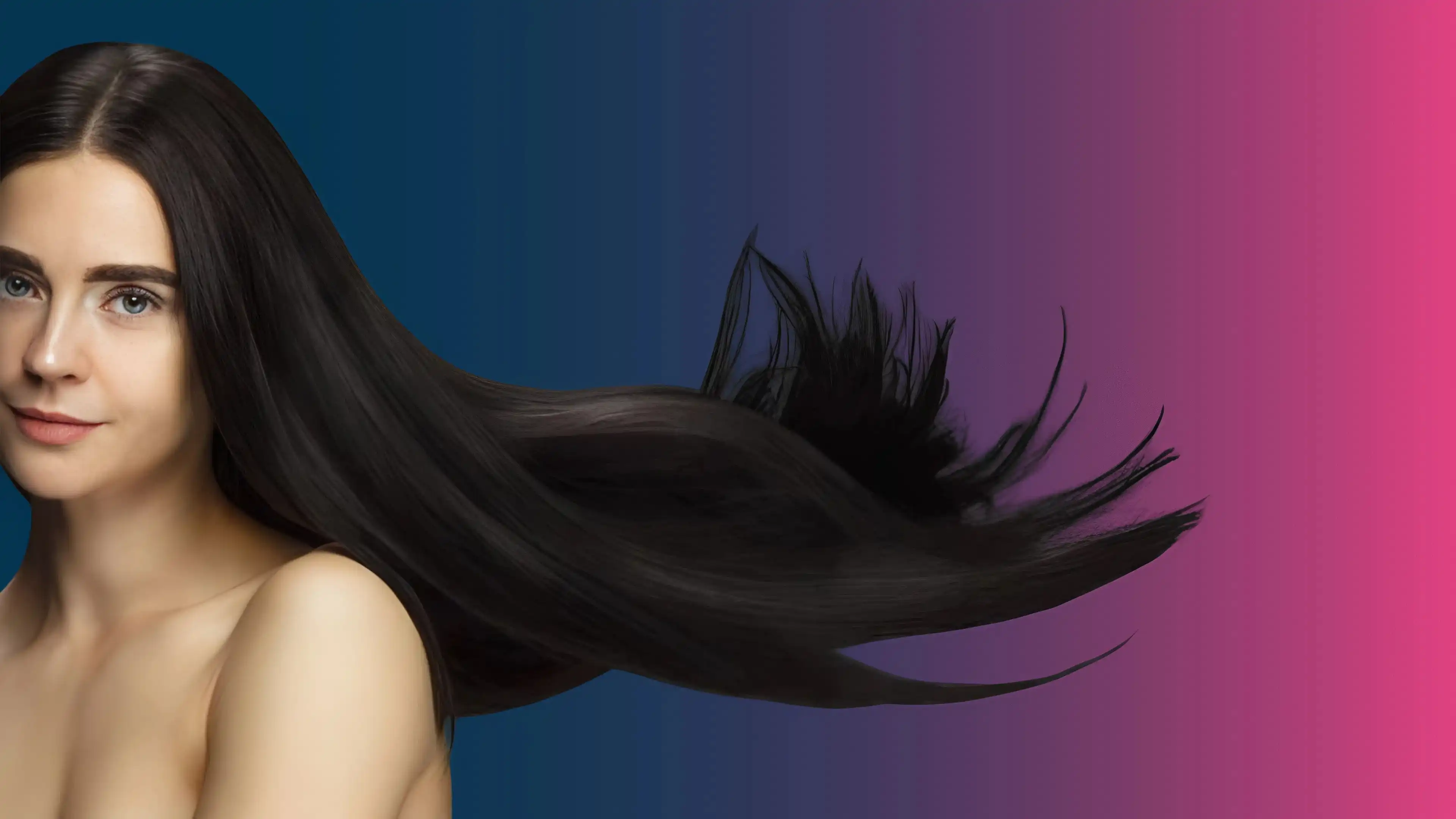image hero banner